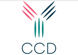 CCD